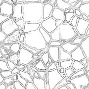 Mosaik Ausmalbilder Zum Ausdrucken